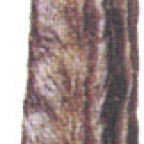 Johannisbrot-gr