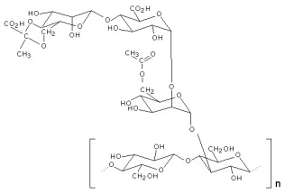 Xanthan (Molekül)